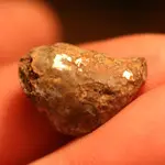NH FINDS 10-10 018.webp