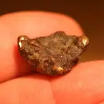 NH FINDS 10-10 029.webp