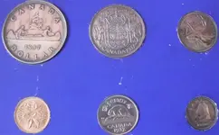 coins (Custom).webp