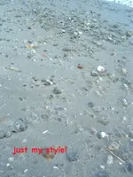 DSCF1928.webp
