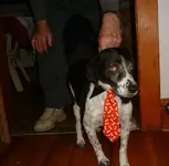 DSCF1396.webp