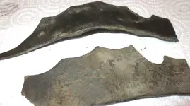 batwing2.webp