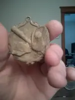 Front.webp