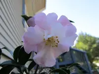 001.webp