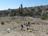 DesertShark.webp