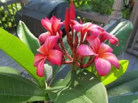 002_2.webp