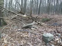 NOV 24th RECORD BREAKING COPPERS 002.webp