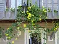 003_1.webp