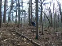 NOV 24th RECORD BREAKING COPPERS 008.webp