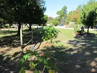 005.webp