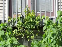011.webp