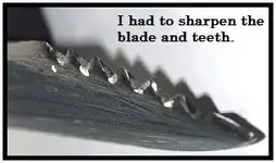 blade.webp