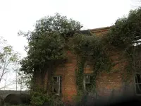 boll house.webp
