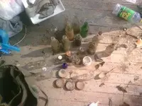 bottle.webp