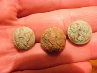 DSCF1459.webp