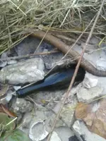 IMG-20121124-WA0012.webp