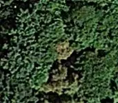 google air gold.webp