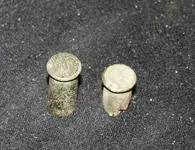 rimfire casings.webp
