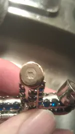 IMAG0787.webp