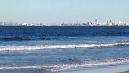 photo-149.webp