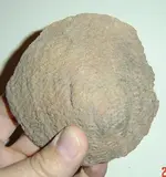 DSC00635.webp