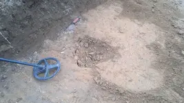 1 004_800_450.webp
