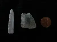 DSCN3591.webp