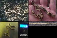 11-14-gold.webp