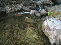 168_6845.webp 168_6845.webp