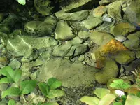 169_6930.webp 169_6930.webp