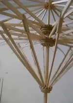 parasol.webp