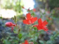 170_7037.webp 170_7037.webp