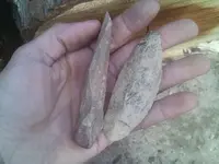 IMAG0043.webp