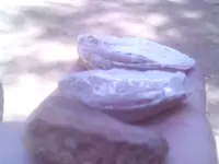 IMAG0014.webp