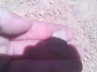 IMAG0051.webp