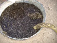 DSCF1541.webp