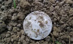 Barber Dug.webp