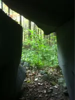 image-4262468156.webp