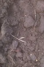 image-128626112.webp