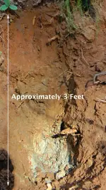 Creek_Cross_Section.webp