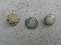 Seated dime.webp