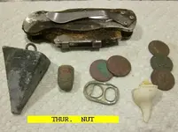 1108NUT.webp
