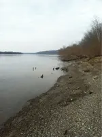 image-1968924182.webp