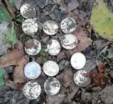 11.17.12.5.webp