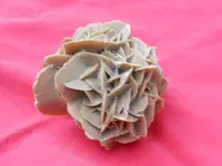 DSCN0759.webp