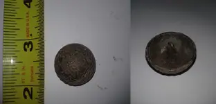 dome button.webp