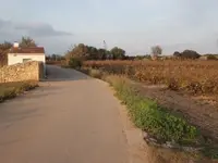 1-lkñlk 003.webp