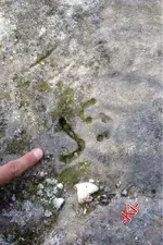image-1189115637.webp