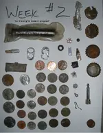 Week 2.webp
