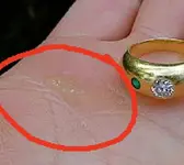 OBN0001.webp OBN0001.webp